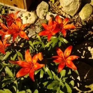 Meet your Posher, Linda